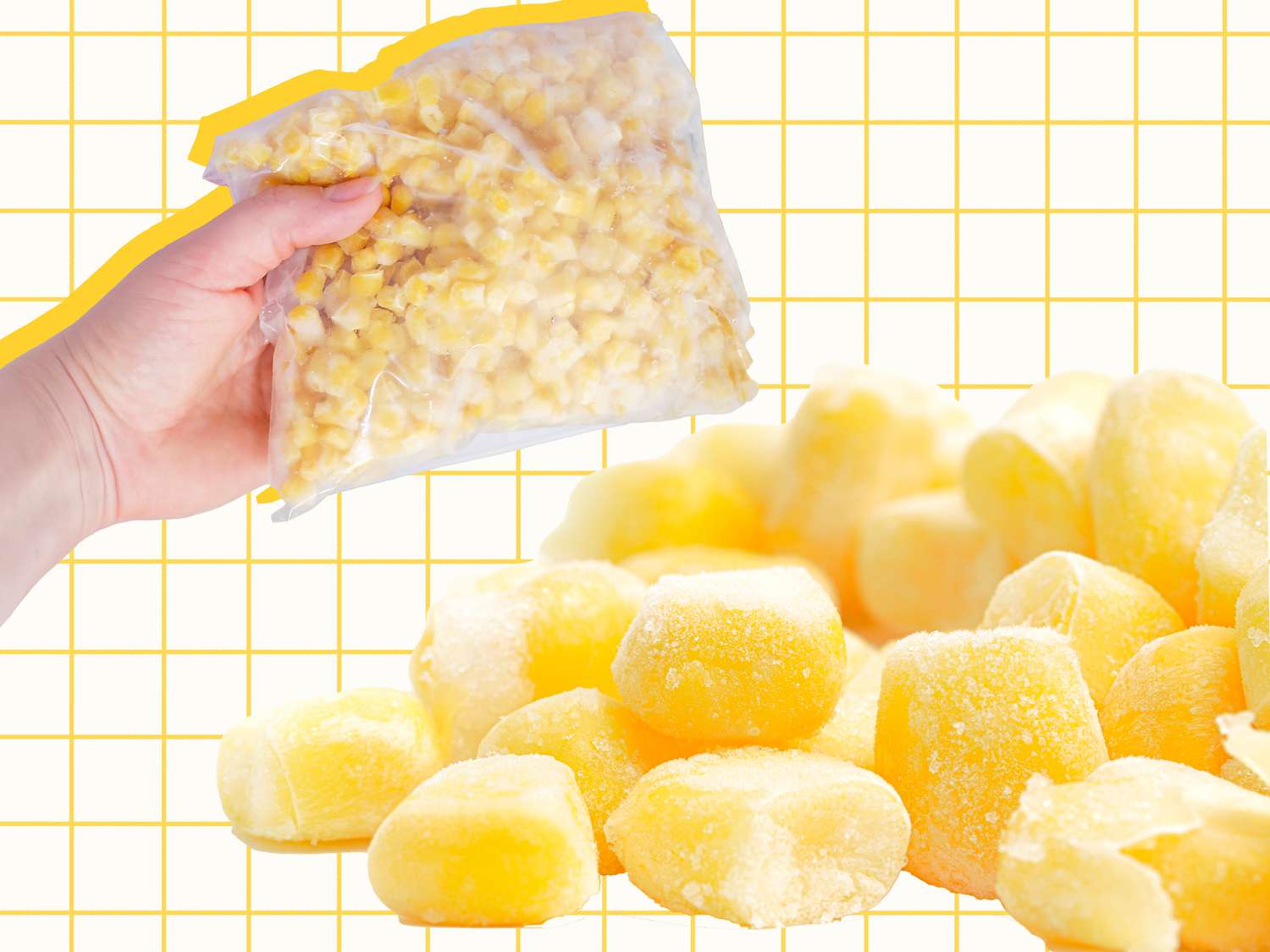 Discover ways to Freeze Corn