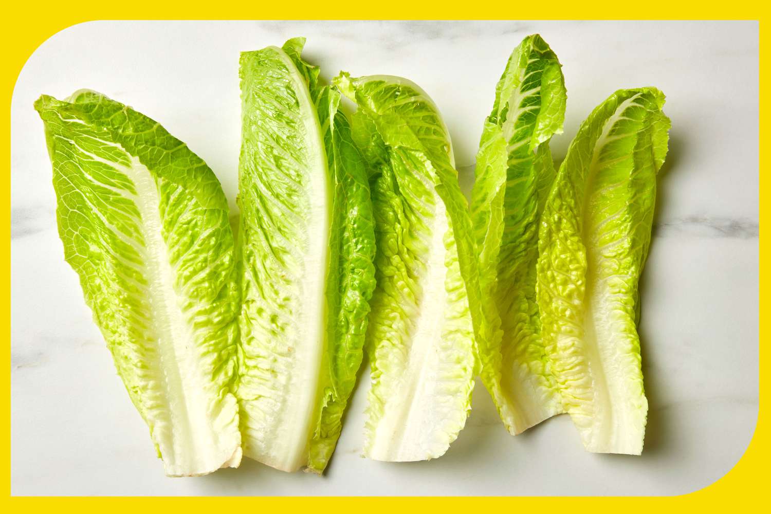 Why Does Lettuce Flip Pink When You Decrease It? (And Is it Safe to Eat?)